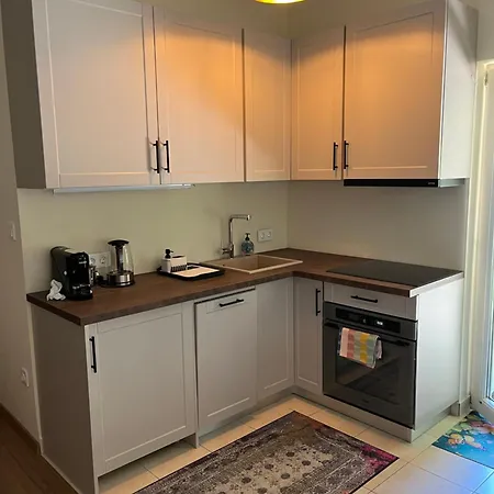 Buda-bird On The Wire